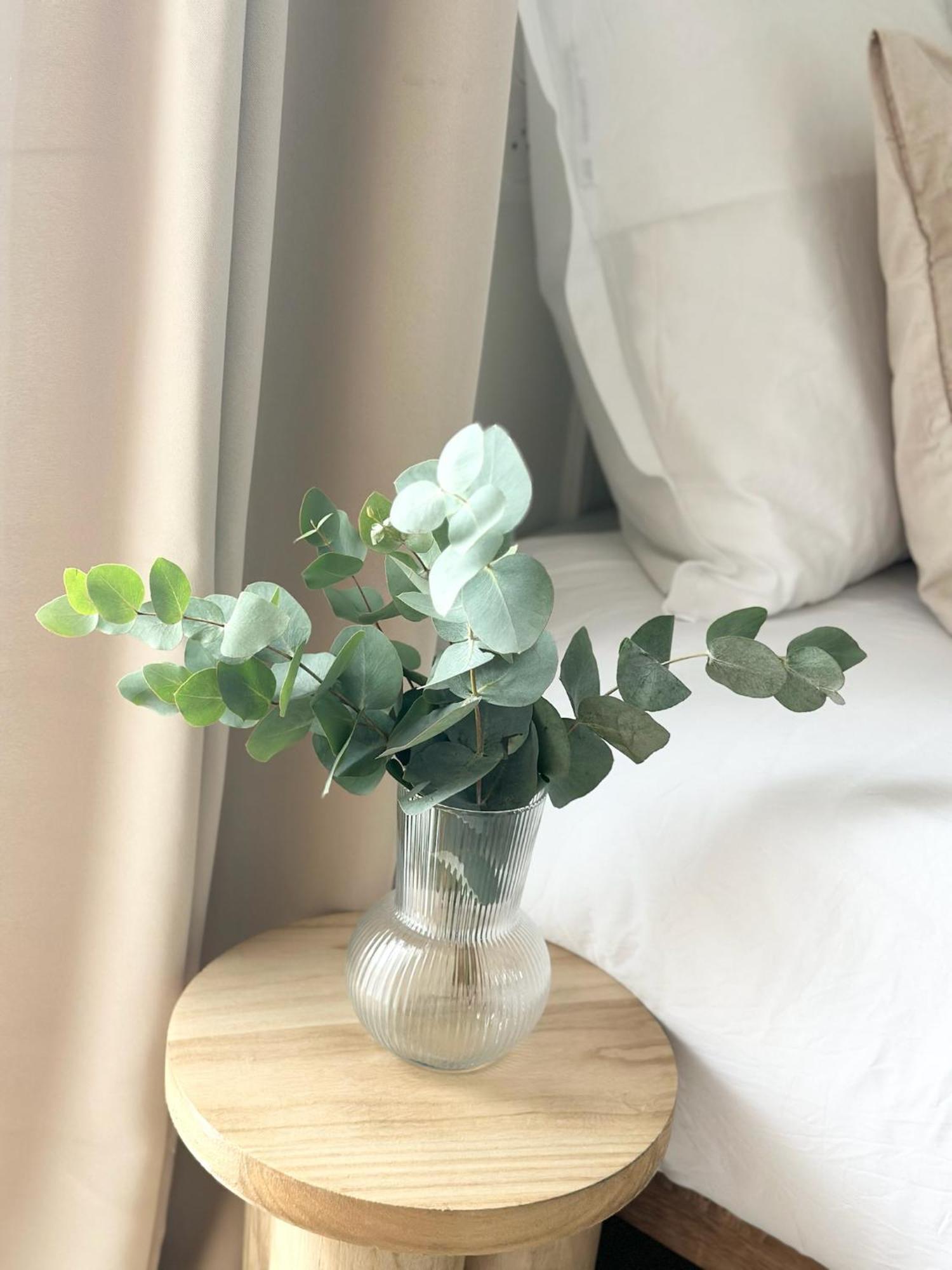 Combs-la-Ville Jiji Suites מראה חיצוני תמונה
